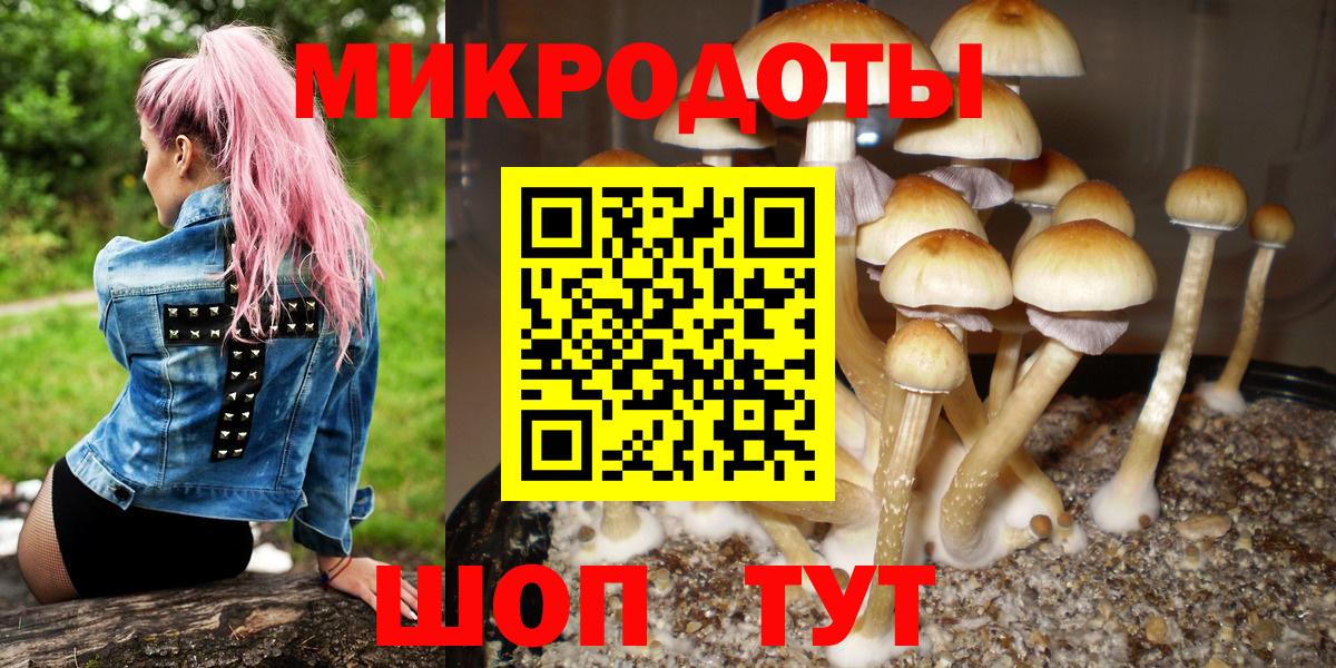 Можайск  Псилоцибиновые грибы Cubensis  Вход с VPN 